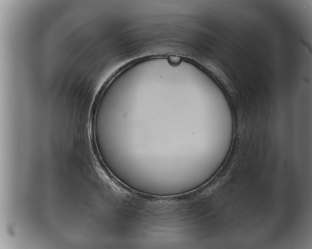 X0000100370888200806060759