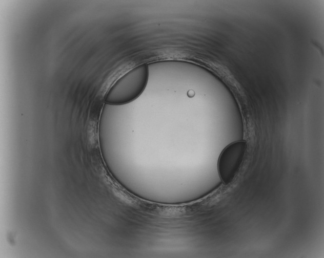 X0000100370889200806060759