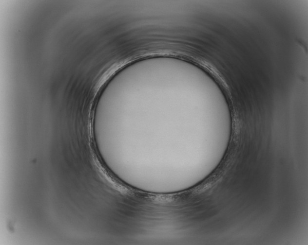 X0000100370890200806060759