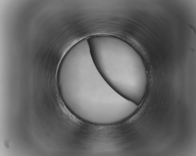 X0000100370892200806060759