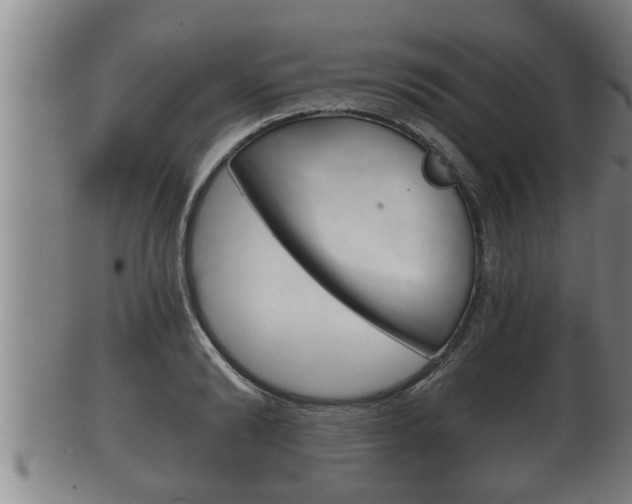 X0000100370894200806060759