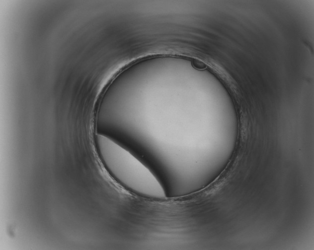 X0000100370896200806060759