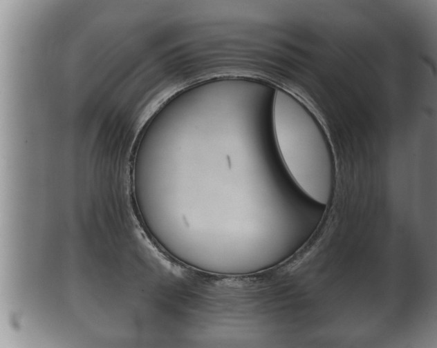 X0000100370898200806060759