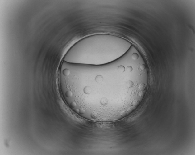 X0000100370899200806060759