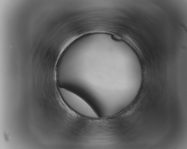 X0000100370900200806060759