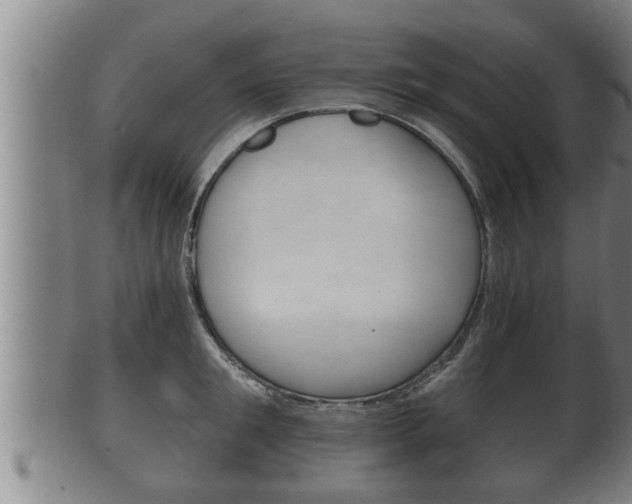X0000100370901200806060759