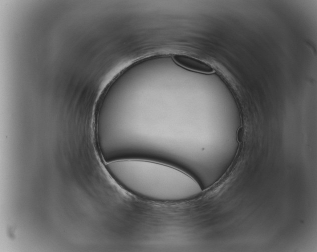 X0000100370902200806060759