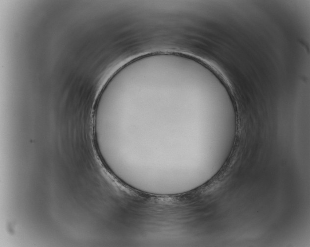 X0000100370903200806060759