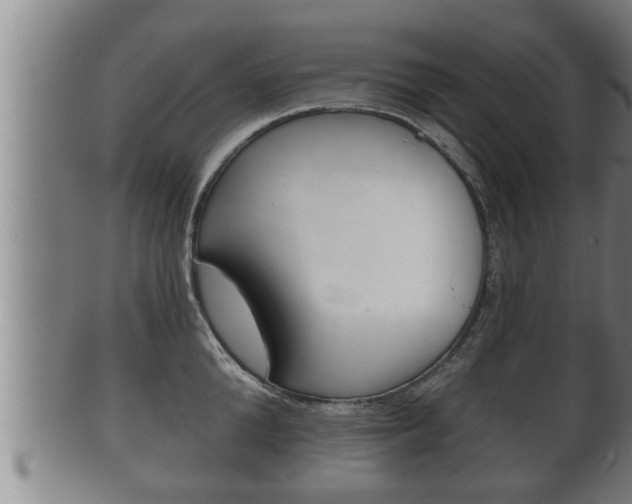 X0000100370904200806060759