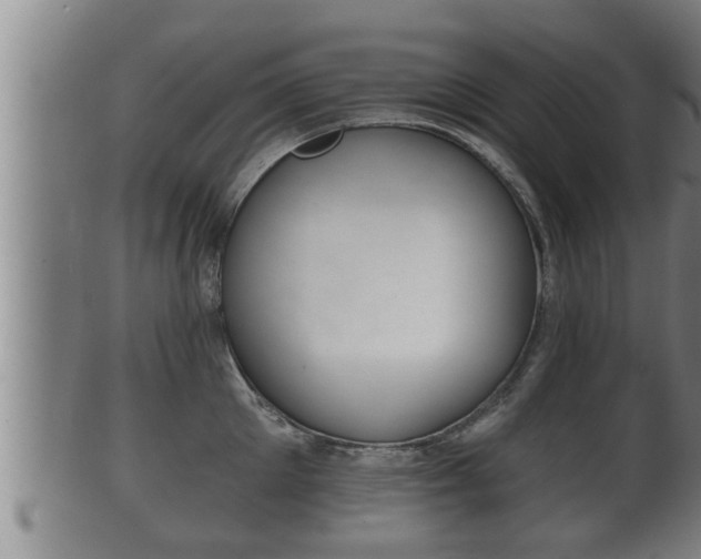 X0000100370905200806060759