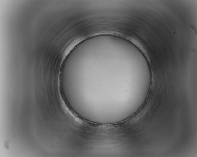 X0000100370906200806060759