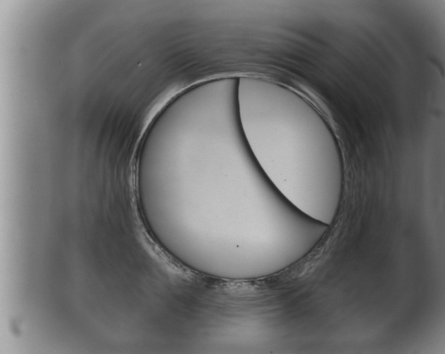 X0000100370907200806060759