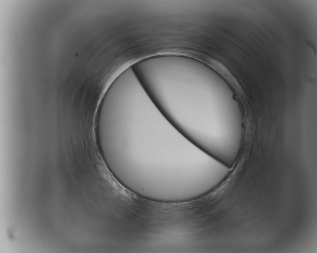 X0000100370908200806060759