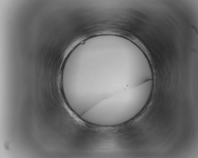 X0000100370909200806060759