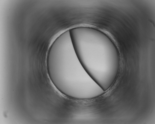 X0000100370910200806060759