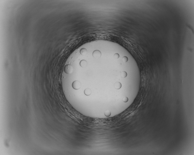 X0000100370913200806060758