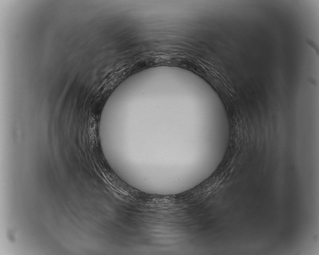 X0000100370914200806060758