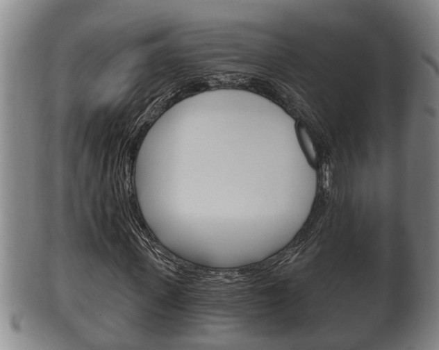 X0000100370915200806060758