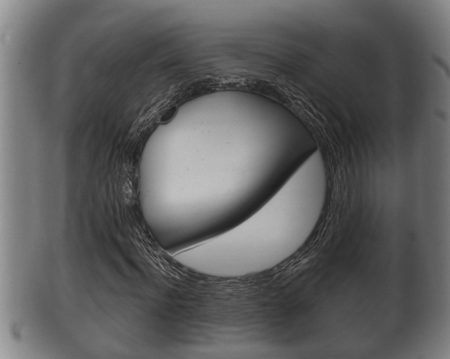 X0000100370916200806060758