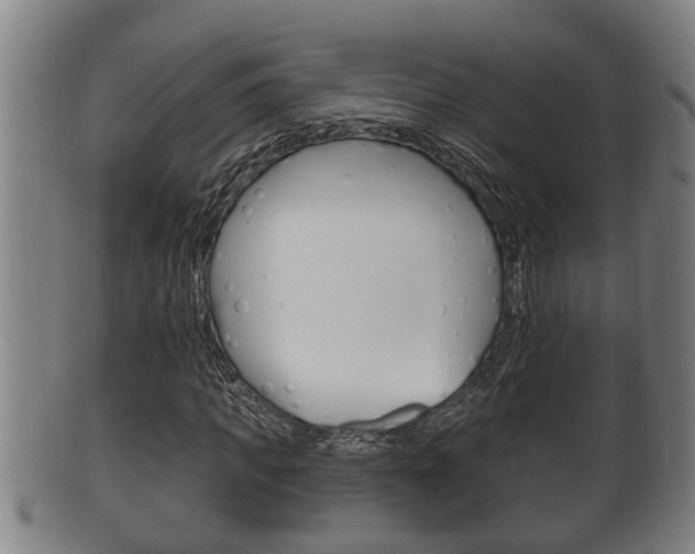 X0000100370917200806060758