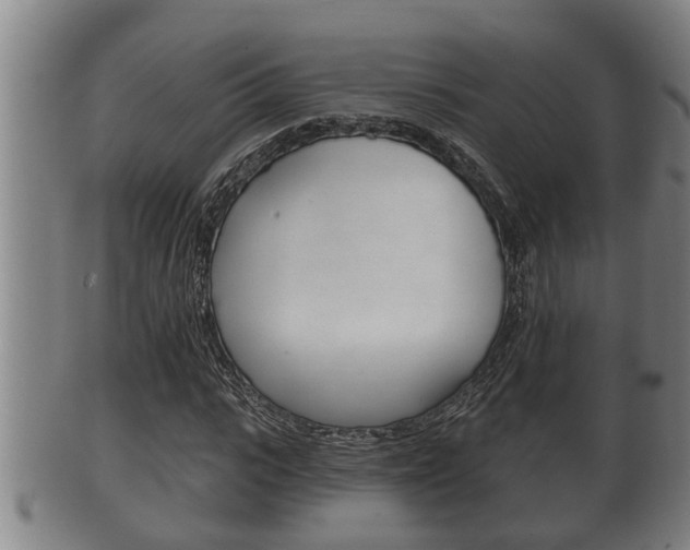 X0000100370919200806060758