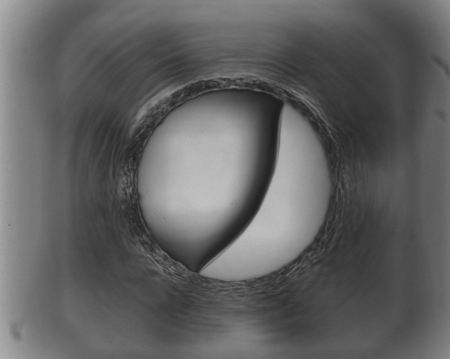 X0000100370920200806060758