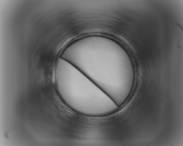X0000100370921200806060758