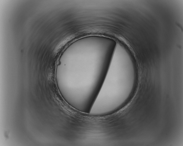X0000100370922200806060758