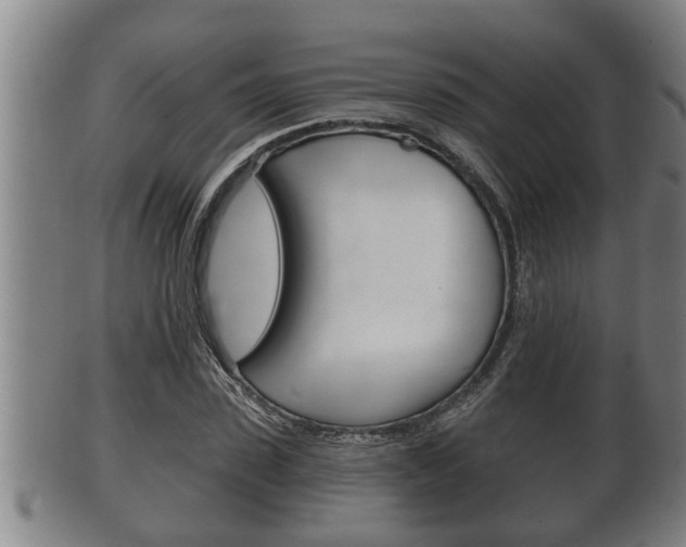 X0000100370923200806060758