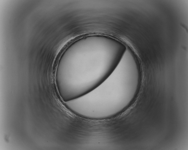 X0000100370924200806060758