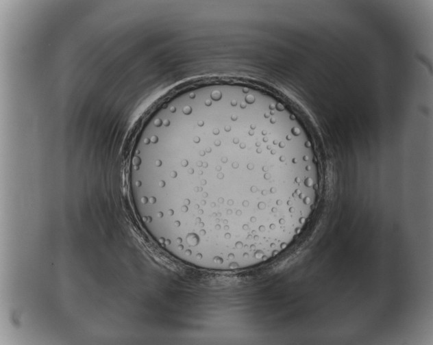X0000100370925200806060758