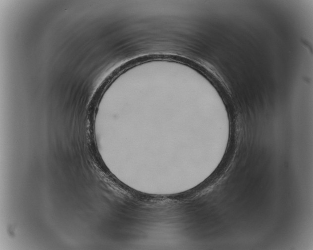 X0000100370926200806060758
