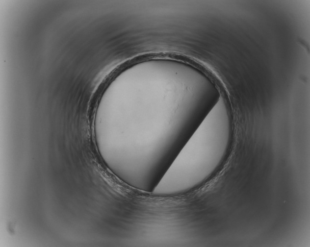 X0000100370927200806060758