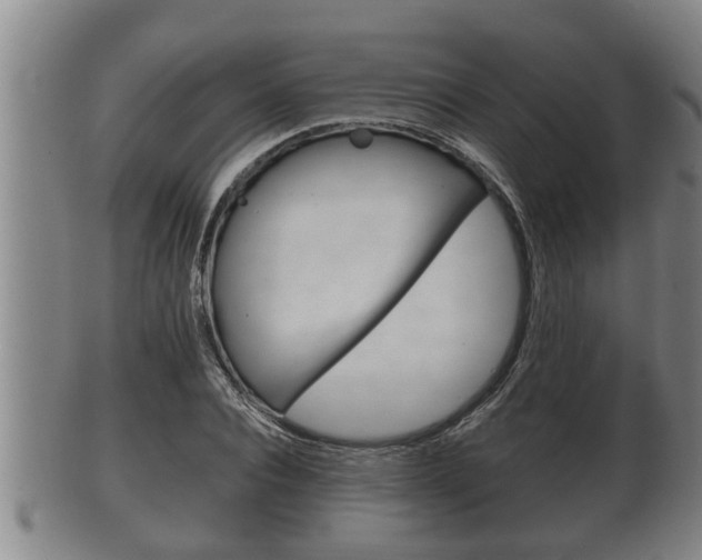 X0000100370928200806060758