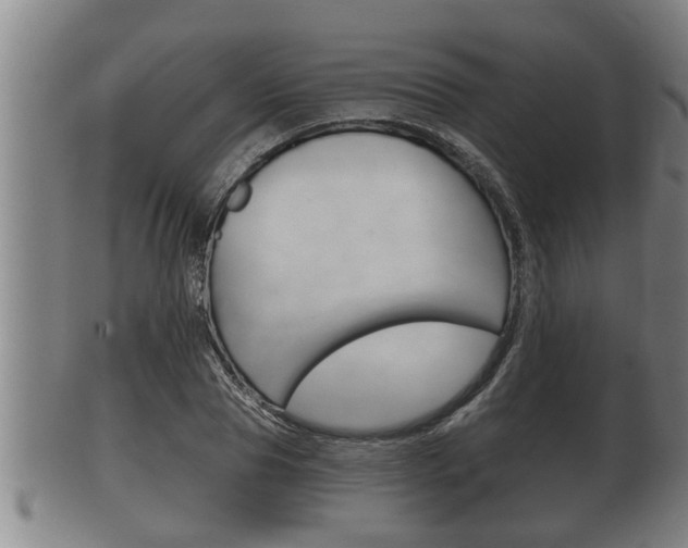 X0000100370929200806060758