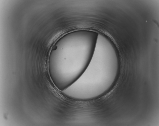 X0000100370930200806060758