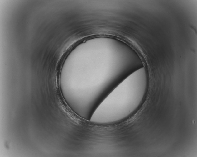 X0000100370931200806060758