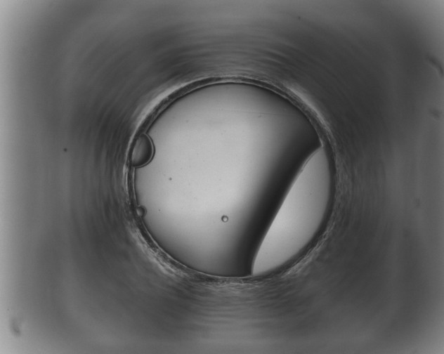 X0000100370932200806060758