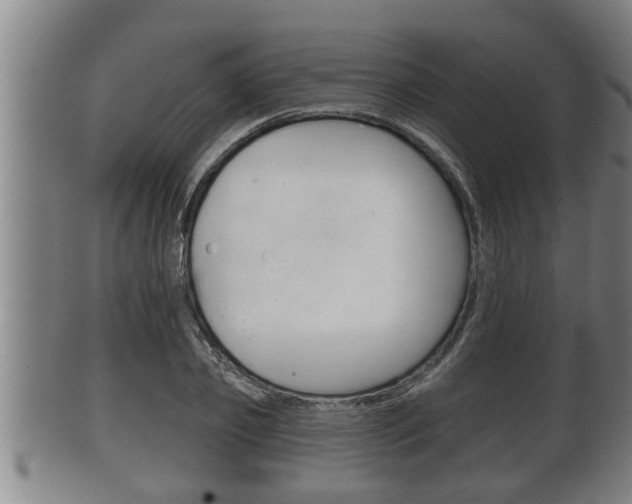 X0000100370933200806060758