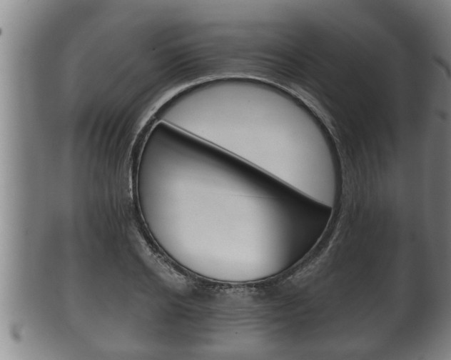 X0000100370934200806060758