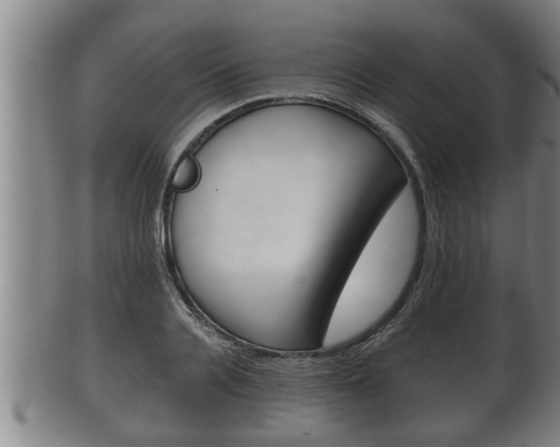 X0000100370936200806060758