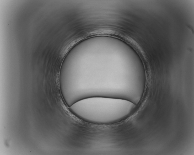 X0000100370937200806060758