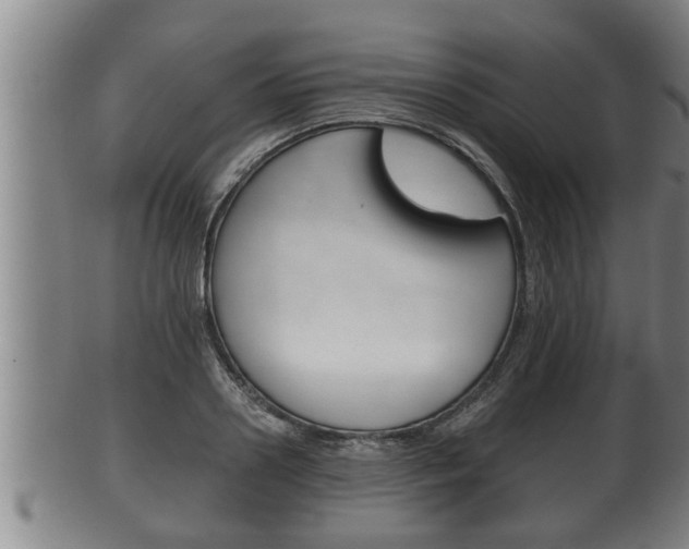 X0000100370938200806060758