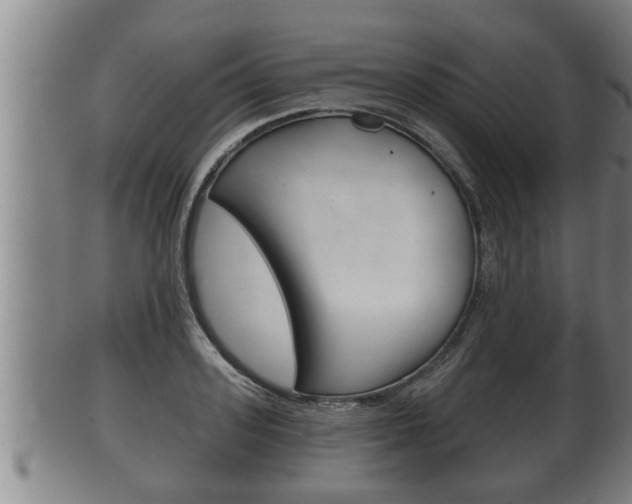 X0000100370939200806060758