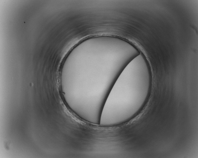 X0000100370941200806060758