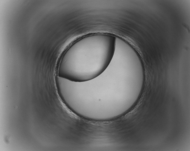 X0000100370942200806060759
