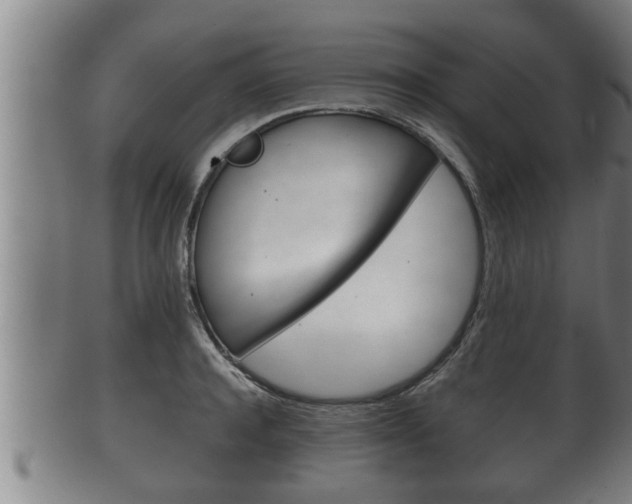 X0000100370944200806060759