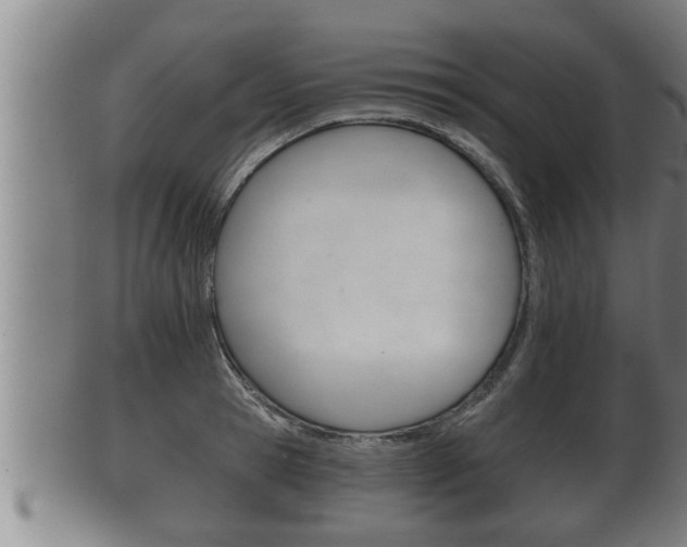 X0000100370945200806060759