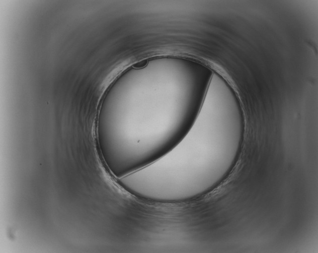 X0000100370946200806060759