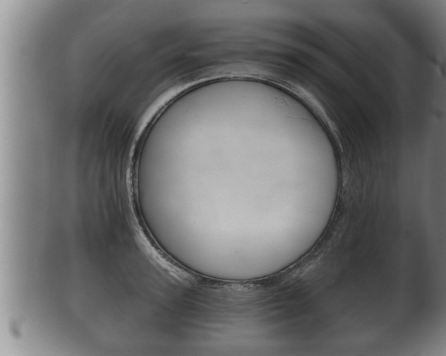 X0000100370947200806060759
